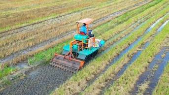 'ដំណើរបៃតង - ដីមានសុខភាពល្អ ដំណាំមានសុខភាពល្អ' សម្រាប់ការដាំដុះស្រូវកាត់បន្ថយការបញ្ចេញឧស្ម័ន