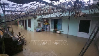 Gia Lai ra công điện yêu cầu chủ động ứng phó với mưa lũ