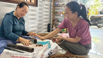 ការចាប់ផ្តើមច្នៃប្រឌិត