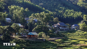 ភូថូ៖ «ជ្រលងភ្នំវែង» អភិរក្សវប្បធម៌ Muong បុរាណ