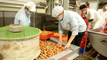 Bac Ninh ធ្វើឱ្យមានតុល្យភាពប្រព័ន្ធអេកូឡូស៊ីផលិតកម្មពីក្រុមឧស្សាហកម្ម