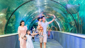 Thủy cung Times City: Hành trình khám phá đại dương giữa lòng Hà Nội