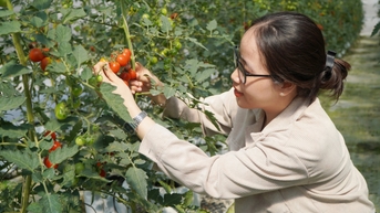 TP.HCM có thể trở thành hình mẫu nông nghiệp đô thị công nghệ cao châu Á