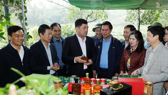 Bac Ninh មានគោលបំណងអភិវឌ្ឍគំរូកសិកម្មតម្លៃខ្ពស់នៅ Tan Yen និង Phuc Hoa