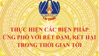 គណៈកម្មាធិការប្រជាជនខេត្ត Lai Chau៖ អនុវត្តវិធានការឆ្លើយតបនឹងជំងឺផ្តាសាយធ្ងន់ធ្ងរនាពេលខាងមុខ