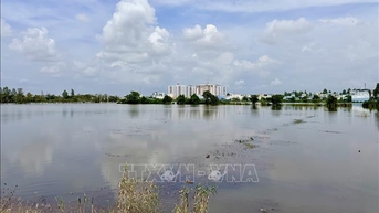 Cảnh báo vùng hạ lưu sông Hậu xuất hiện đỉnh triều trên báo động 3 từ ngày 21 - 22/11