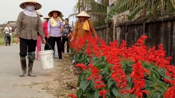 Mát xanh những con đường nông thôn mới