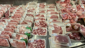 ប្រាក់ចំណូលរបស់ CP Vietnam ធ្លាក់ចុះ ខណៈពេលដែលប្រាក់ចំណេញរបស់ដៃគូប្រកួតប្រជែងជាច្រើនទៀតកើនឡើងយ៉ាងខ្លាំង