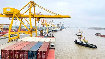 Đề nghị giao Cảng Hải Phòng quản lý, khai thác bến số 4, số 5 cảng Chùa Vẽ