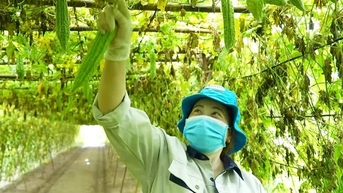 ដំណោះស្រាយលេខ ៥៧៖ “គន្លឹះបច្ចេកវិទ្យា” សម្រាប់សហករណ៍ និងកសិករ