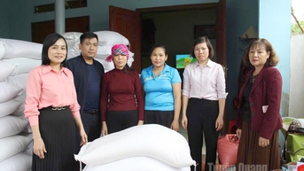 Tuyen Quang ផ្តល់អង្ករជាង 700 តោនសម្រាប់ផ្គត់ផ្គង់ដល់ប្រជាជនដែលរងផលប៉ះពាល់ដោយព្យុះលេខ 10