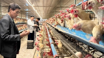 Nông nghiệp tuần hoàn: Mở đường cho tăng trưởng xanh