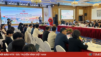 អភិវឌ្ឍភាពចម្រុះនៃអេកូឡូស៊ី៖ ទីក្រុង Hai Phong ចាប់ដៃជាមួយអាកាសចរណ៍ដើម្បីអភិវឌ្ឍទេសចរណ៍