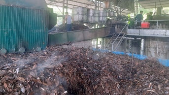 Lào Cai: Biến dược liệu bản địa thành ngành kinh tế mũi nhọn