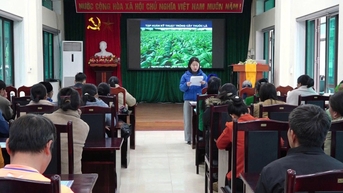 45 hộ nông dân được tập huấn kỹ thuật trồng và chăm sóc cây thuốc lá niên vụ 2025 - 2026 - Báo Cao Bằng điện tử