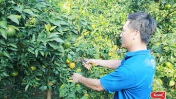 គំរូសេដ្ឋកិច្ចចម្រុះនៅក្នុងឃុំដូនកេត