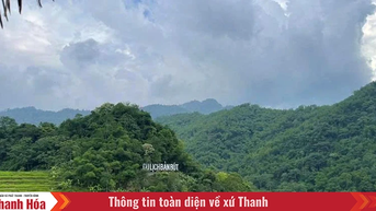 Phát triển kinh tế xanh gắn với nâng cao thu nhập của người dân