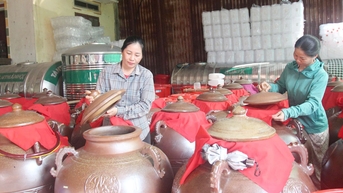 Nông dân Sơn Động năng động phát triển kinh tế, vươn lên thoát nghèo bền vững