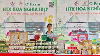 សហករណ៍នាំផលិតផលផ្កា Nghia Hiep ទៅឆ្ងាយ