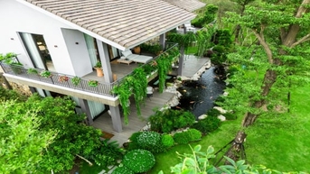 Nhà dưới tán rừng của Ecopark: Khi tiện nghi hòa quyện với sinh thái