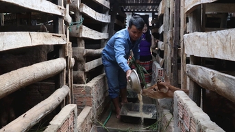 Người dân Sông Kôn vươn lên thoát nghèo