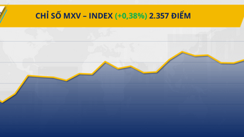 Lực mua giành ưu thế, cà phê tiếp tục “nóng”