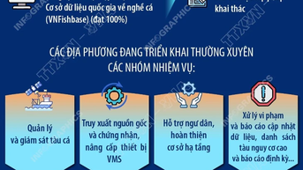 Đẩy mạnh liên thông dữ liệu, siết chặt quản lý tàu cá phục vụ chống khai thác IUU