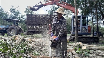 Tăng tốc sớm giải phóng mặt bằng dự án cao tốc Gia Nghĩa - Chơn Thành