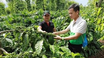 Dak Lak ជំរុញការអនុវត្តវិទ្យាសាស្ត្រ បច្ចេកវិទ្យា និងនវានុវត្តន៍ក្នុងវិស័យកសិកម្ម