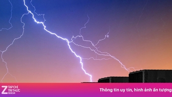 Vì sao một công ty có thể làm sập Internet toàn cầu?