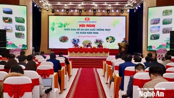 Vụ Xuân 2026, Nghệ An phấn đấu đạt trên 700.000 tấn lương thực