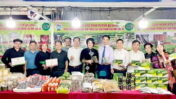 Tuyên Quang tham gia Hội chợ Xúc tiến Thương mại khu vực miền Nam 2025