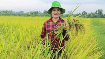 Nghệ An tự tin đạt trên 700.000 tấn lương thực vụ xuân 2026