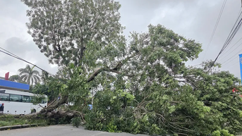 ជំនួយទាន់ពេលវេលាដល់គ្រួសារដែលរងផលប៉ះពាល់ដោយព្យុះនៅឃុំផុងណាម