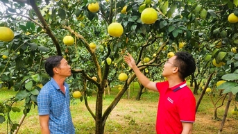 Tín dụng xanh mở lối cho sản xuất bền vững