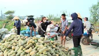 Qi Lu លើកកម្ពស់ប្រសិទ្ធភាពសេដ្ឋកិច្ចពីការបំផ្លាញរដូវរងា