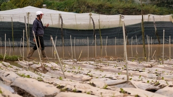 កន្លែង​ជា​ច្រើន​នៅ​តំបន់​បន្លែ​ដាឡាត​ត្រូវ​បាន​ជន់​លិច។