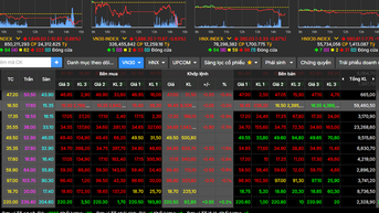 នៅថ្ងៃទី 19 ខែវិច្ឆិកា ភាគហ៊ុនបានកែតម្រូវយ៉ាងទូលំទូលាយ។