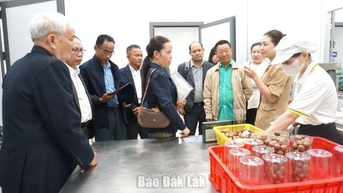 Hội Thương mại và Công nghiệp tỉnh Attapeu đến thăm và trao đổi kinh nghiệm tại Đắk Lắk