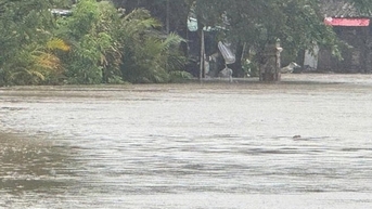 Thủ tướng chỉ đạo tập trung ứng phó với lũ trên sông Ba (Đắk Lắk) và sông Kôn (Gia Lai)