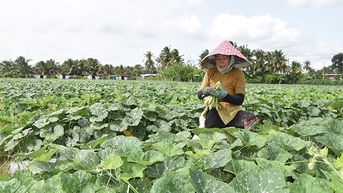 Chuyển đổi cơ cấu cây trồng ứng phó với biến đổi khí hậu