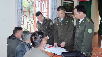 សាកល្បងការអនុវត្តការផ្តល់ និងគ្រប់គ្រងក្រមសម្រាប់តំបន់ដាំដុះព្រៃឈើវត្ថុធាតុដើមនៅក្នុងឃុំ Quy Mong