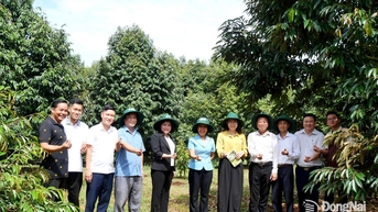 Tiếp tục hỗ trợ, hướng dẫn để quản lý và duy trì mã vùng trồng tại xã Bình Tân