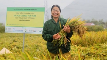 ស្ត្រី​នាយក​ជនជាតិ​ថៃ​និង​ក្តី​ប្រាថ្នា​ចង់​នាំ​អង្ករ​ភូ​យ៉េន​ទៅ​ឆ្ងាយ​