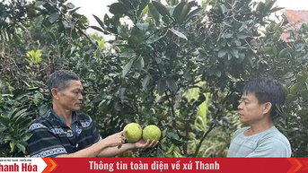 បុគ្គល​មាន​កិត្យានុភាព​ត្រូវ​លះបង់​ដើម្បី​ការងារ​រួម។