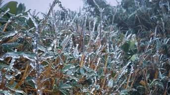 Đỉnh núi cao ở Lào Cai, Lai Châu xuất hiện băng giá