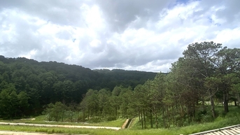 ការកសាងក្របខណ្ឌតម្លៃព្រៃឈើក្នុងខេត្ត