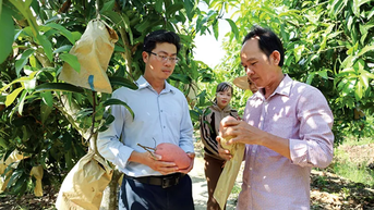 គំនិតសេដ្ឋកិច្ចកសិកម្ម