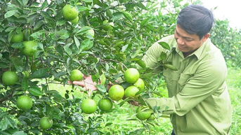 Làm giàu với mô hình kinh tế tuần hoàn