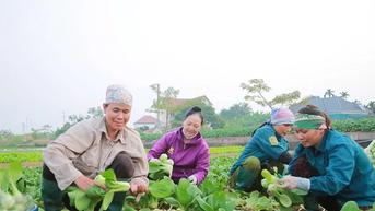 Nòng cốt trong phát triển kinh tế